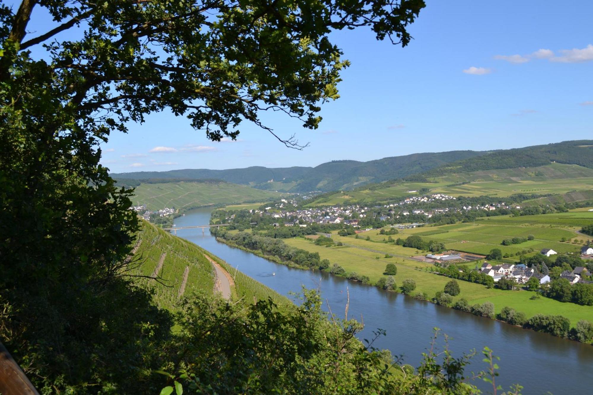 Weingut Mathy-Schanz Osann-Monzel 外观 照片