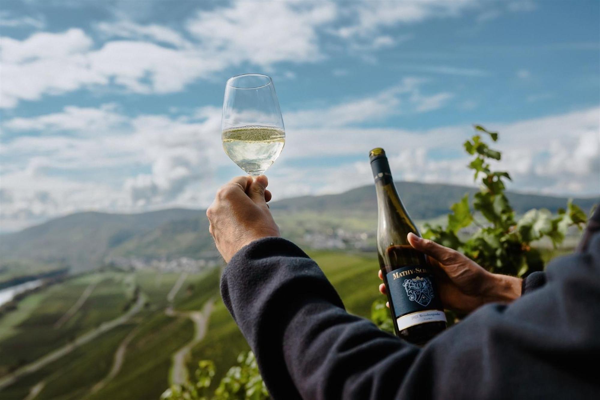 Weingut Mathy-Schanz Osann-Monzel 外观 照片