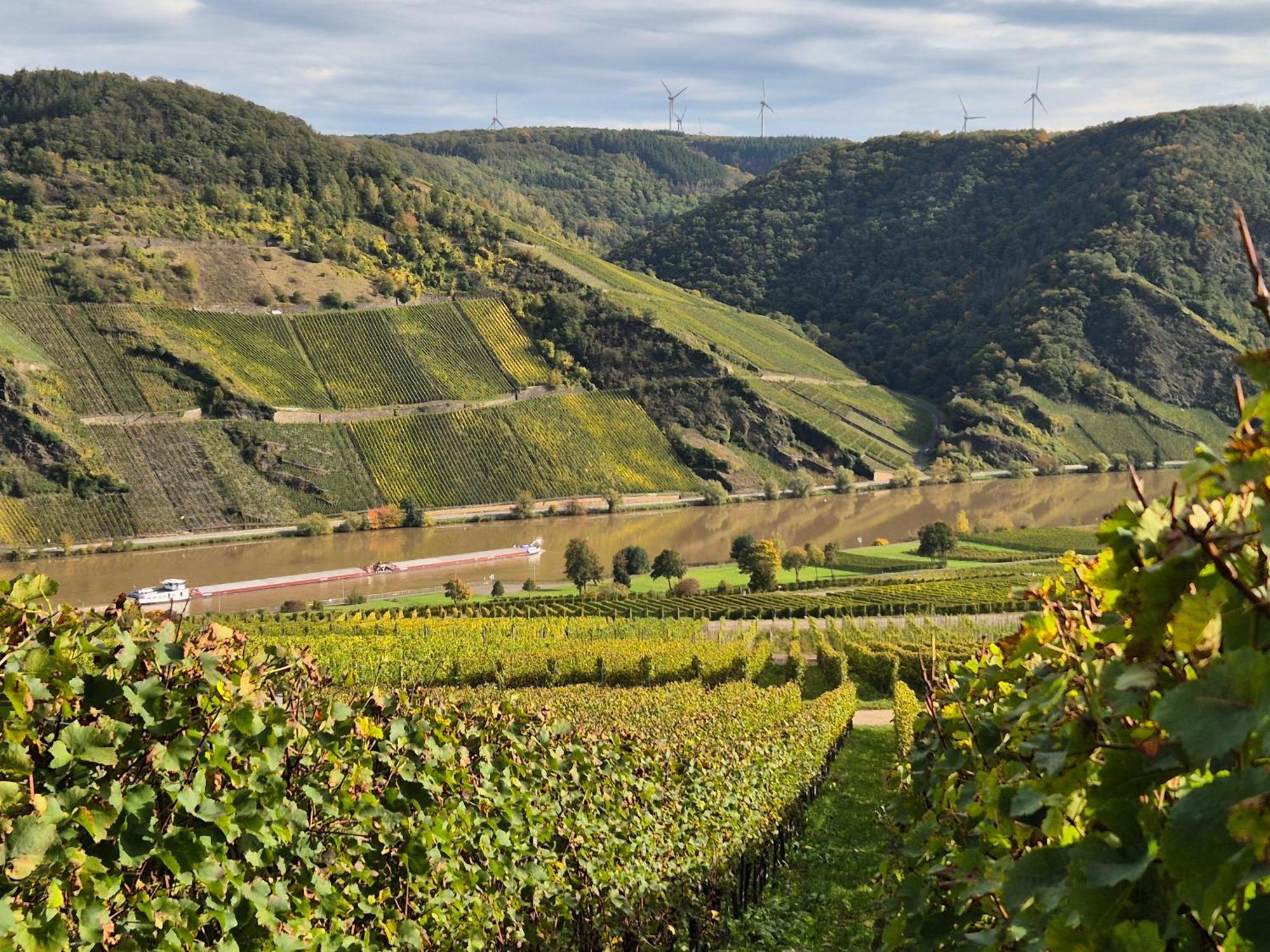 Weingut Mathy-Schanz Osann-Monzel 外观 照片
