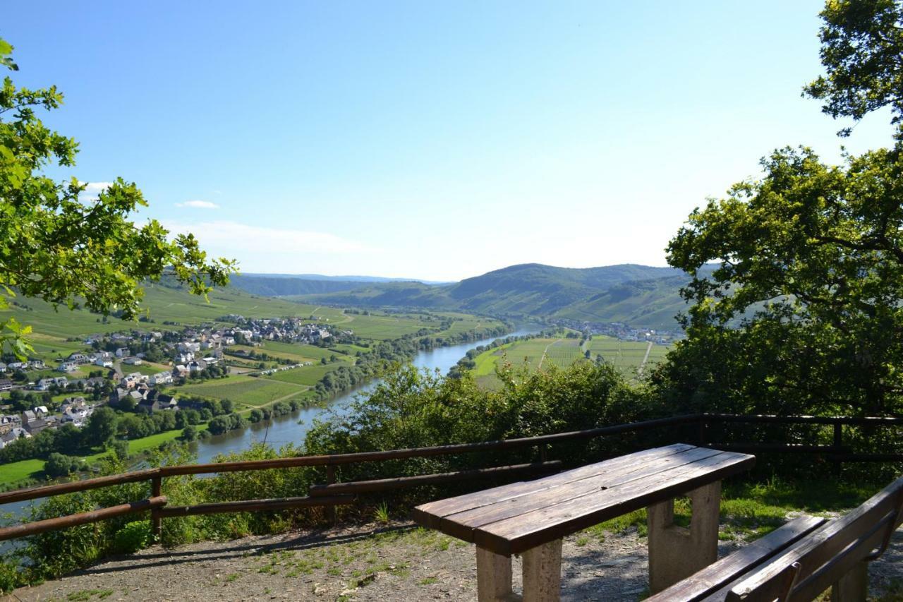 Weingut Mathy-Schanz Osann-Monzel 外观 照片